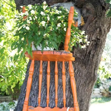 House Helena Casa vacanze Valtura